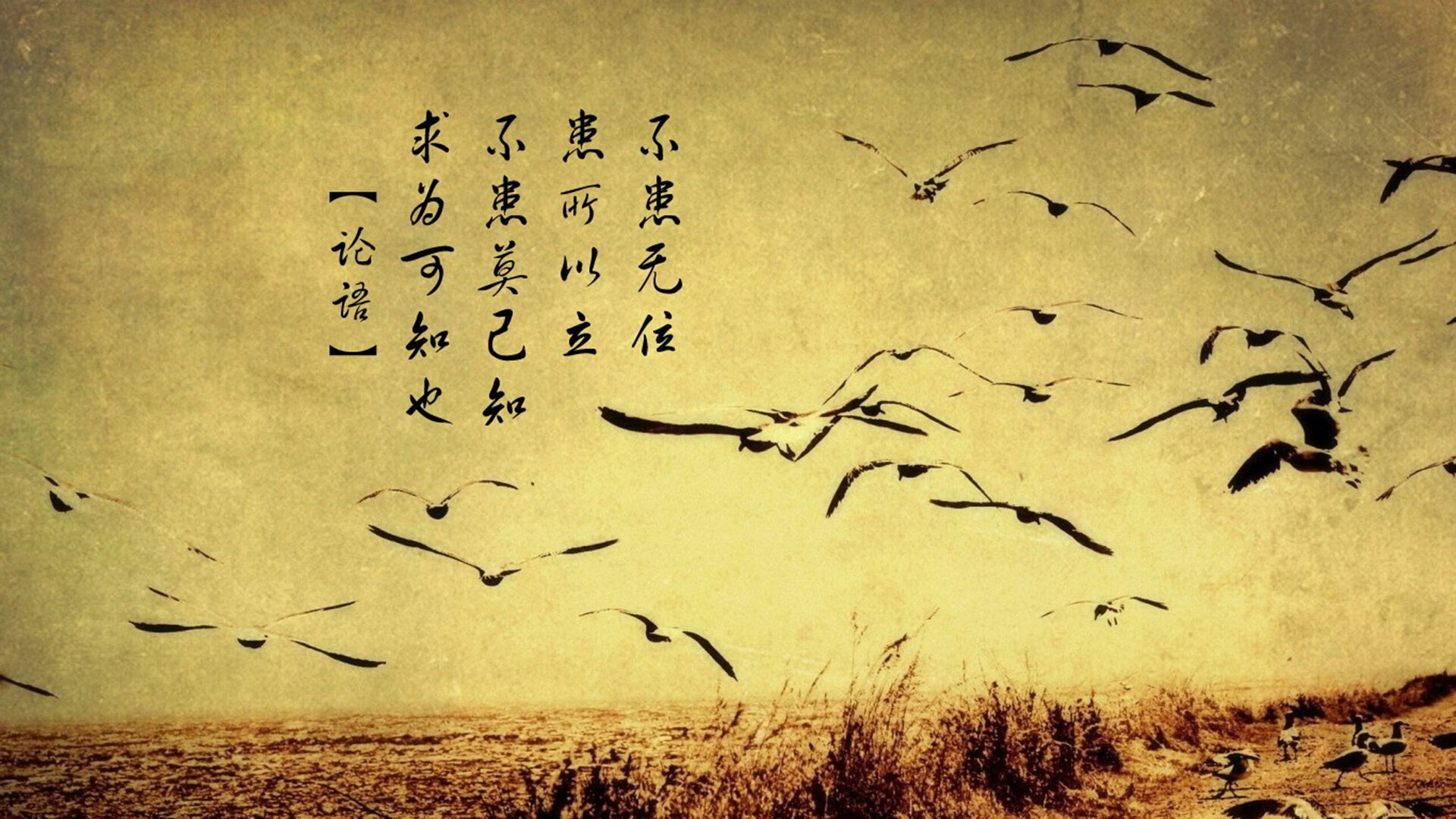 联盟中最擅长节奏控制的教练战术分析，英雄联盟教练joker